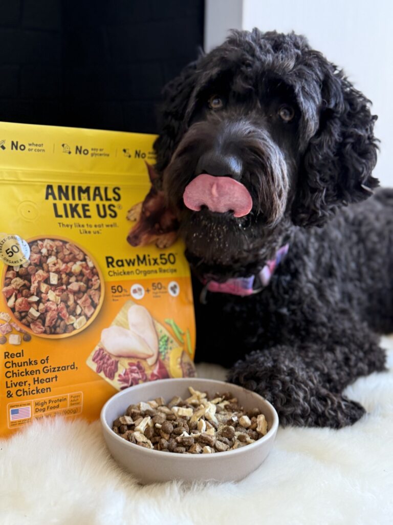 Dog with a bowl of food and 'Animals Like Us' RawMix50 packaging on a white surface