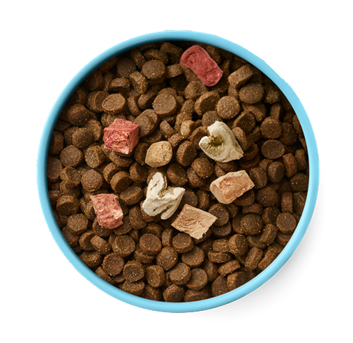 Blue bowl filled with brown pet food and colorful treats