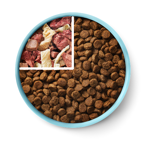 Blue bowl with a quarter mix of dry pet food and the rest raw dog food. RawMix25