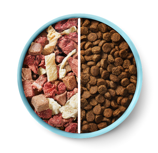 Split bowl with dry and raw dog food. RawMix50