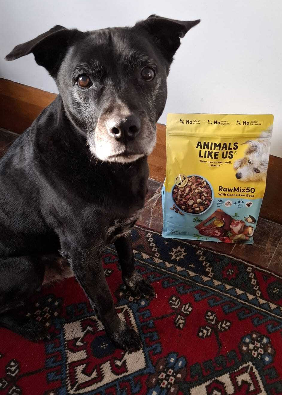 Black dog standing next to a bag of 'Animals Like Us' raw mix dog food