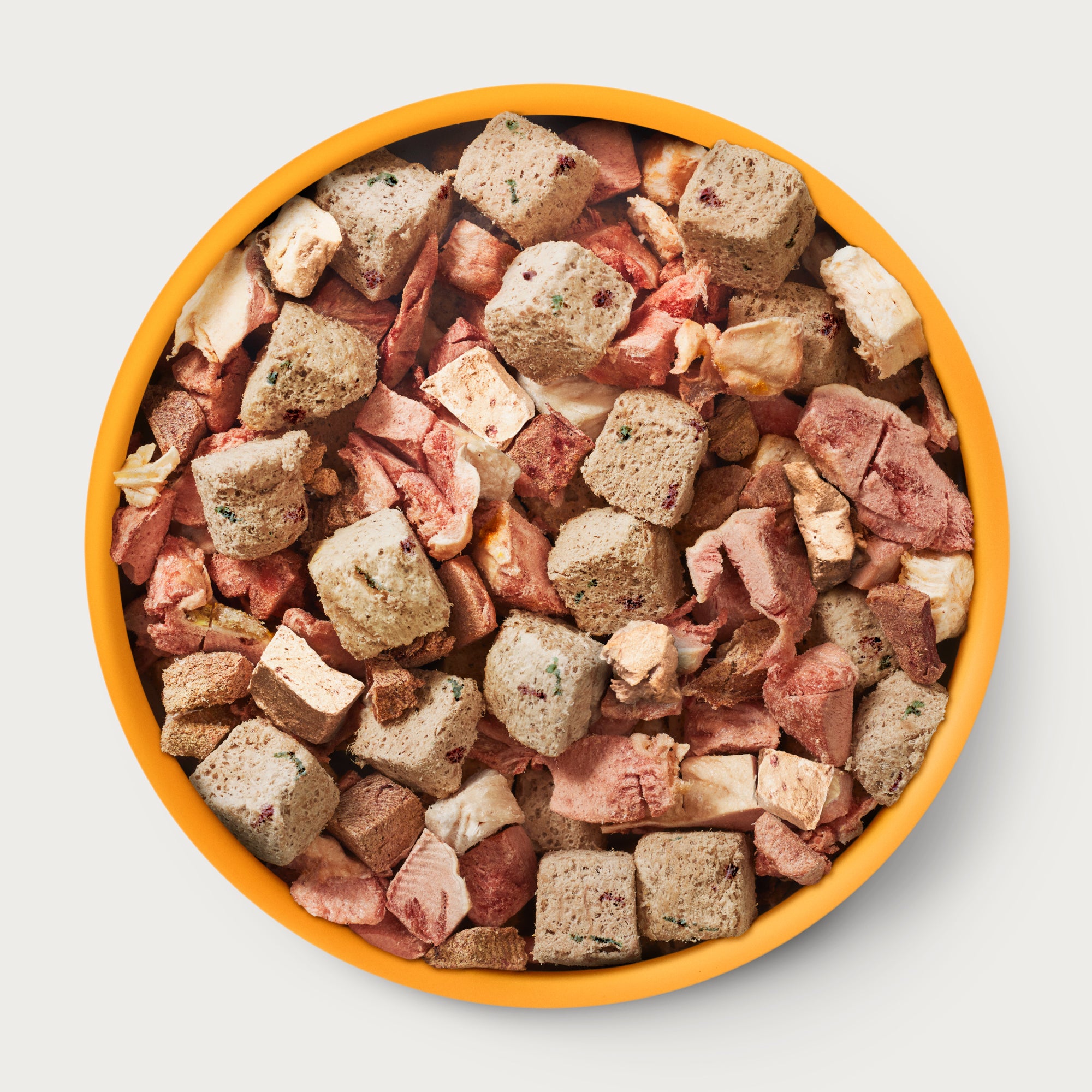 Bowl full of Animals Like Us Raw100 Chicken Organs Recipe freeze-dried raw dry dog food meal or mixer.