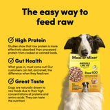Dog holding a 'Meal or Mixer' package with text about raw feeding benefits on a yellow background