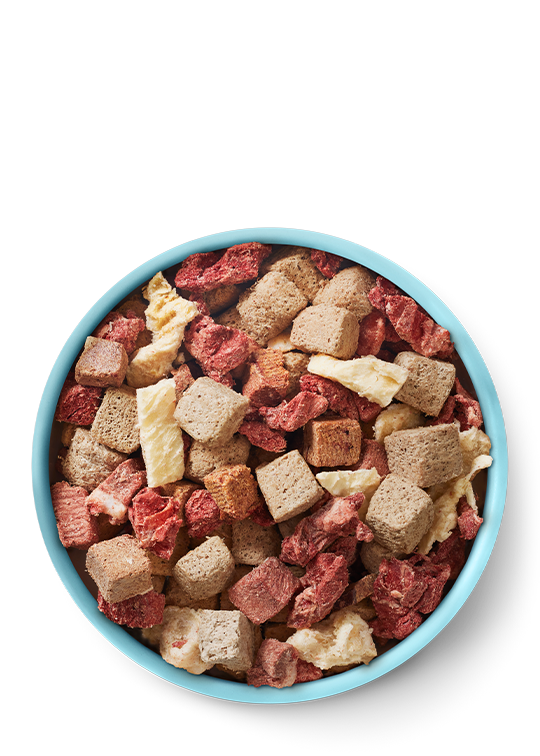 Assorted dog treats in a blue bowl on a white background. Raw100