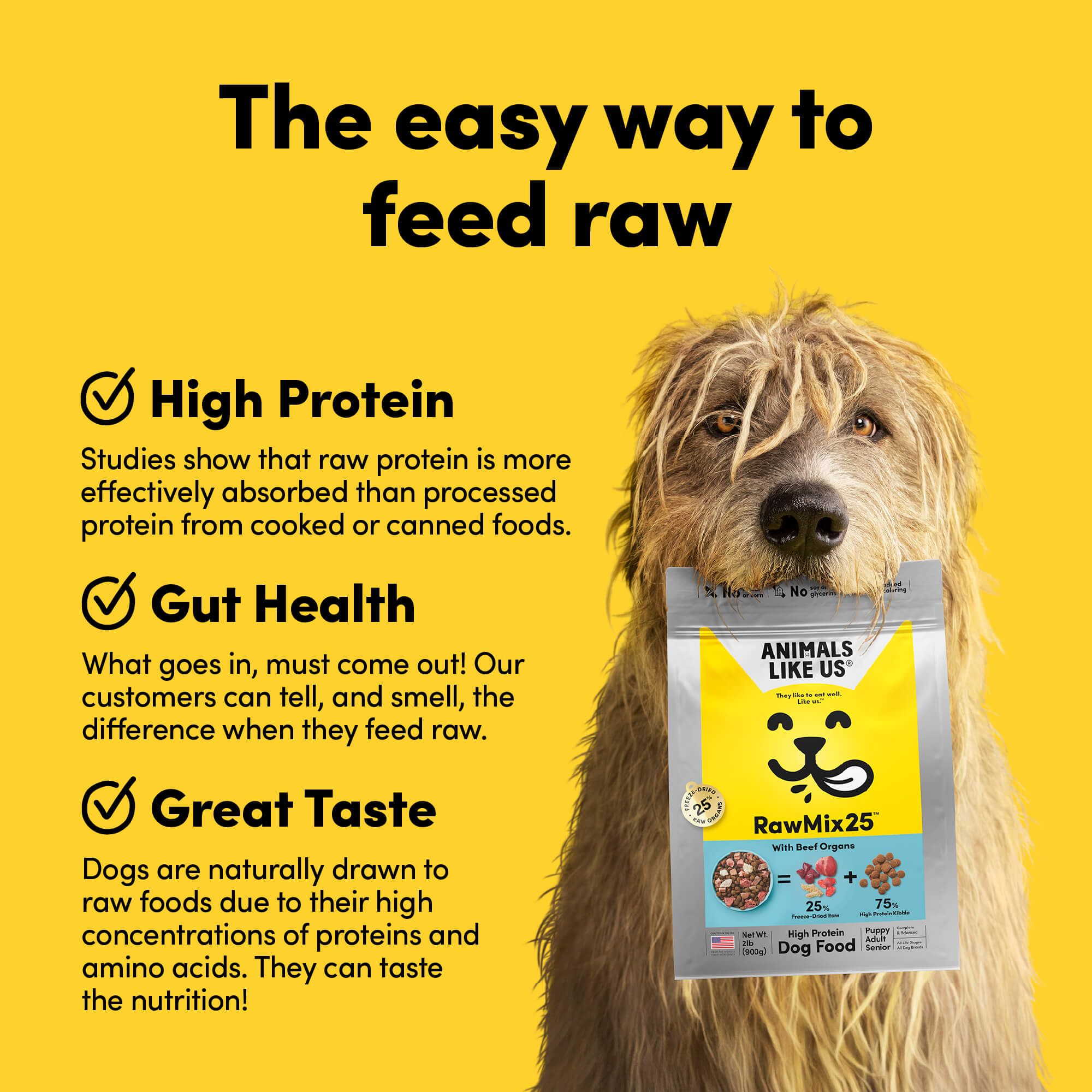 Card with text: The easy way to feed raw. High protein – studies show that raw protein is more effectively absorbed than processed protein. Gut health – what goes in, must come out. Our customers can tell, and smell, the difference when they feed raw. Great taste – dogs are naturally drawn to raw foods due to their high concentrations of proteins and amino acids.
