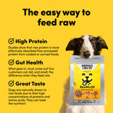 Card with text: The easy way to feed raw. High protein – studies show that raw protein is more effectively absorbed than processed protein. Gut health – what goes in, must come out. Our customers can tell, and smell, the difference when they feed raw. Great taste – dogs are naturally drawn to raw foods due to their high concentrations of proteins and amino acids.