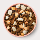 Bowl full of Animals Like Us RawMix25 Ocean Fish and Salmon Recipe freeze-dried raw dry dog food.