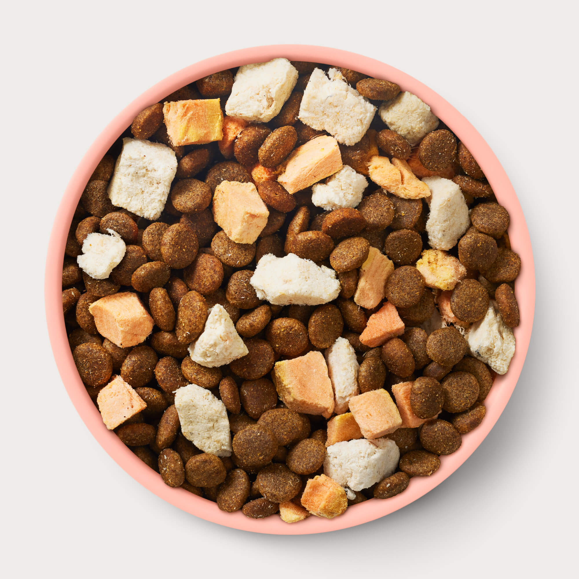 Bowl full of Animals Like Us RawMix25 Ocean Fish and Salmon Recipe freeze-dried raw dry dog food.