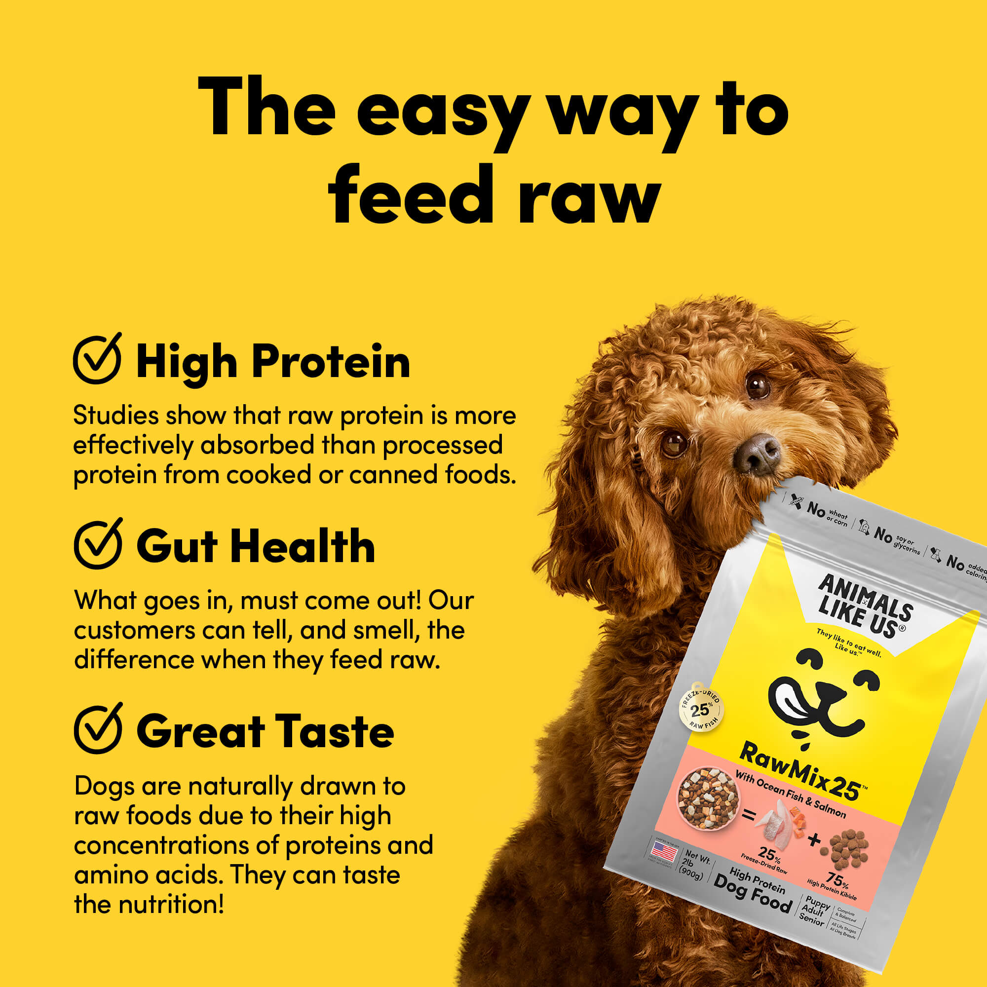Card with text: The easy way to feed raw. High protein – studies show that raw protein is more effectively absorbed than processed protein. Gut health – what goes in, must come out. Our customers can tell, and smell, the difference when they feed raw. Great taste – dogs are naturally drawn to raw foods due to their high concentrations of proteins and amino acids.