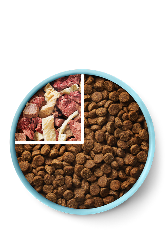 Blue bowl with a divided section showing a mix of raw meat, bones, and dried kibble on a white background. RawMix25