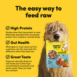 Card with text: The easy way to feed raw. High protein – studies show that raw protein is more effectively absorbed than processed protein. Gut health – what goes in, must come out. Our customers can tell, and smell, the difference when they feed raw. Great taste – dogs are naturally drawn to raw foods due to their high concentrations of proteins and amino acids.