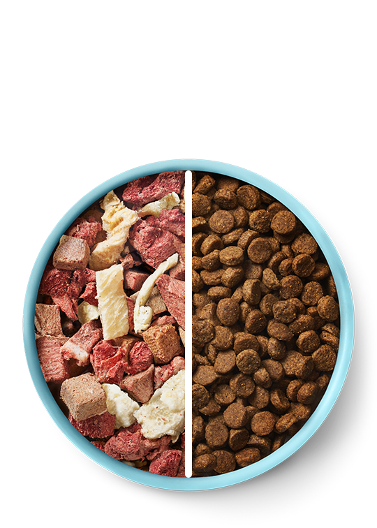 Blue bowl divided into two sections, one with raw pet food and the other with kibble, on a white background. RawMix50