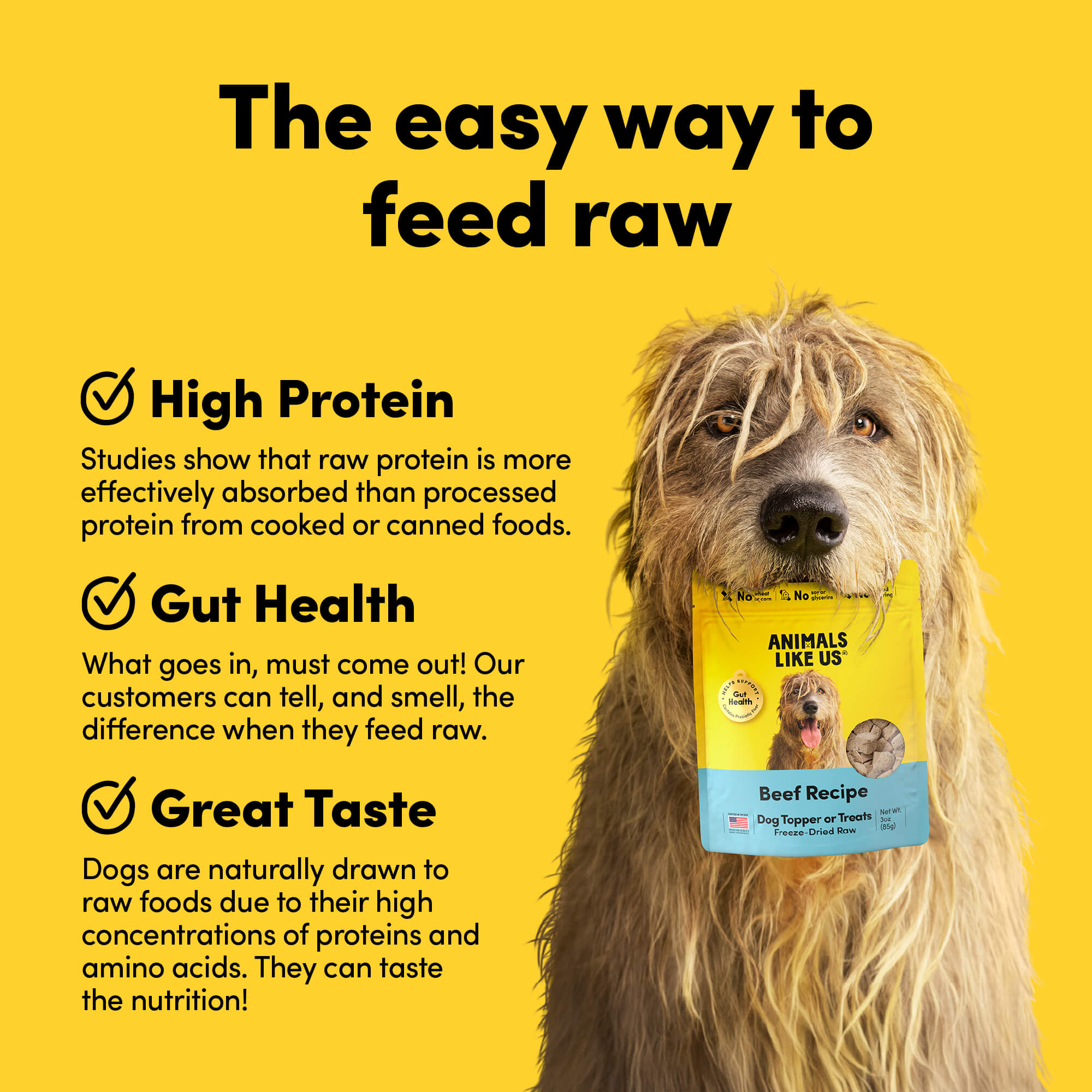 Card with text: The easy way to feed raw. High protein – studies show that raw protein is more effectively absorbed than processed protein. Gut health – what goes in, must come out. Our customers can tell, and smell, the difference when they feed raw. Great taste – dogs are naturally drawn to raw foods due to their high concentrations of proteins and amino acids.