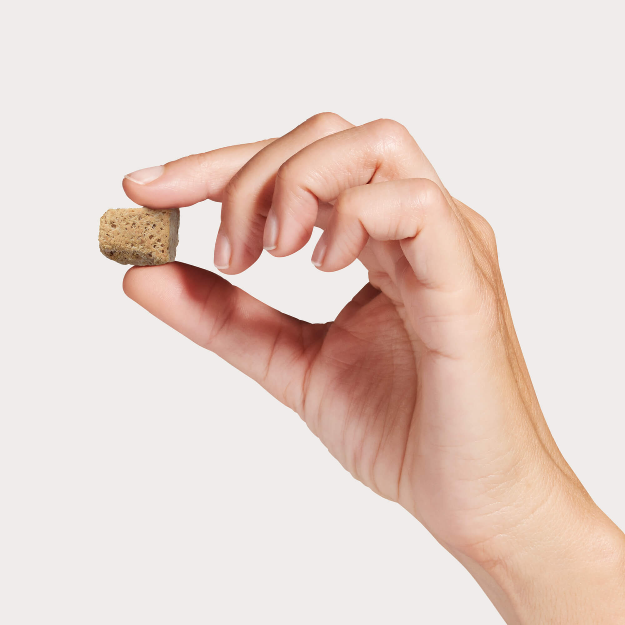 A hand holding one piece of Topper or Treat