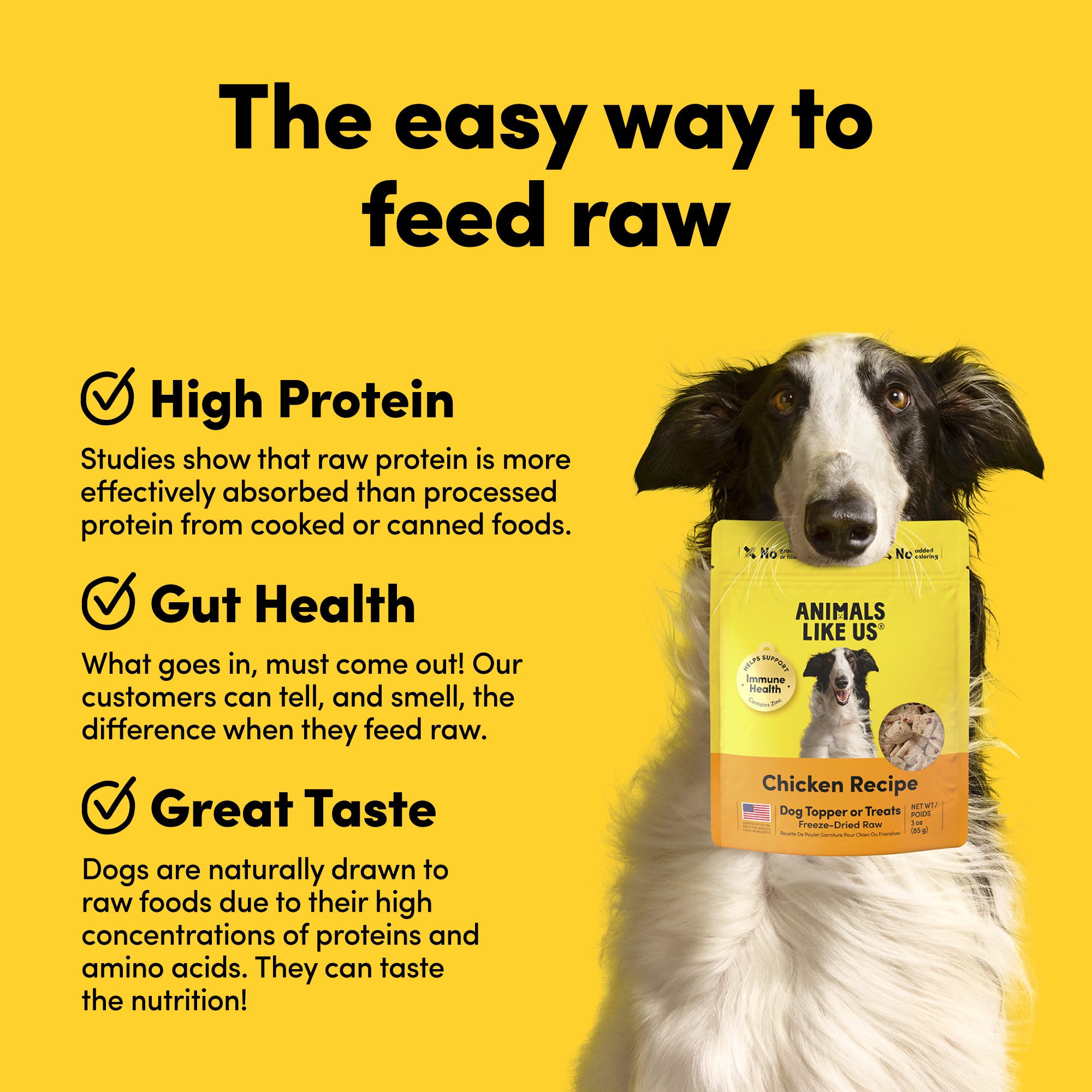 Card with text: The easy way to feed raw. High protein – studies show that raw protein is more effectively absorbed than processed protein. Gut health – what goes in, must come out. Our customers can tell, and smell, the difference when they feed raw. Great taste – dogs are naturally drawn to raw foods due to their high concentrations of proteins and amino acids.