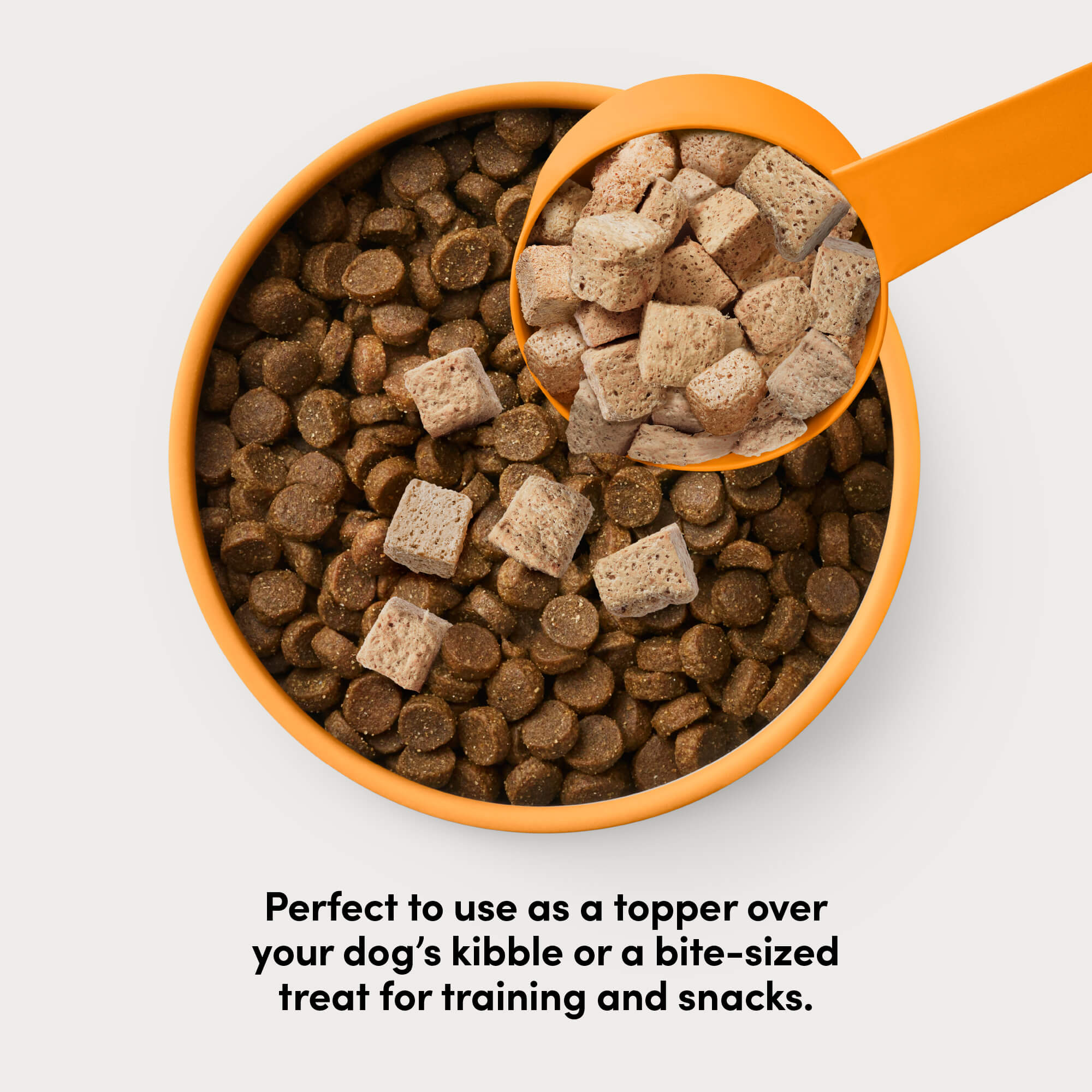 Card with text: Perfect to use as a topper over your dog's kibble or a bite-sized treat for training and snacks