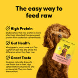 Card with text: The easy way to feed raw. High protein – studies show that raw protein is more effectively absorbed than processed protein. Gut health – what goes in, must come out. Our customers can tell, and smell, the difference when they feed raw. Great taste – dogs are naturally drawn to raw foods due to their high concentrations of proteins and amino acids.