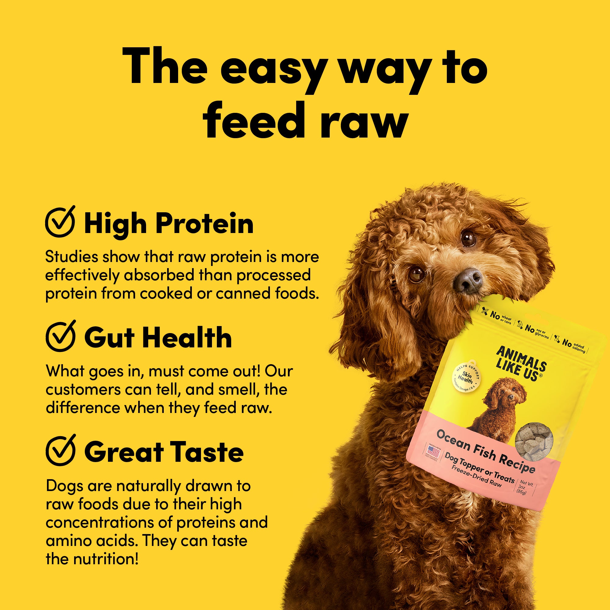 Card with text: The easy way to feed raw. High protein – studies show that raw protein is more effectively absorbed than processed protein. Gut health – what goes in, must come out. Our customers can tell, and smell, the difference when they feed raw. Great taste – dogs are naturally drawn to raw foods due to their high concentrations of proteins and amino acids.