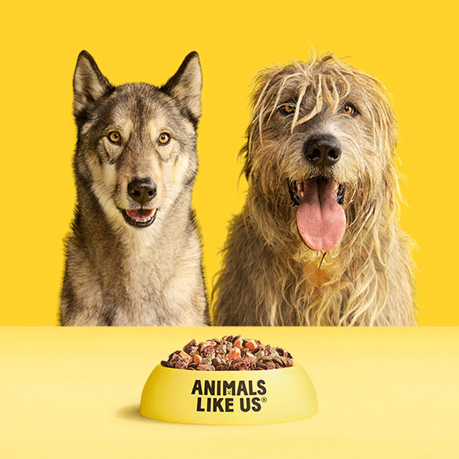 Two dogs with a bowl of food in front of them on a yellow background, featuring the brand 'Animals Like Us'.