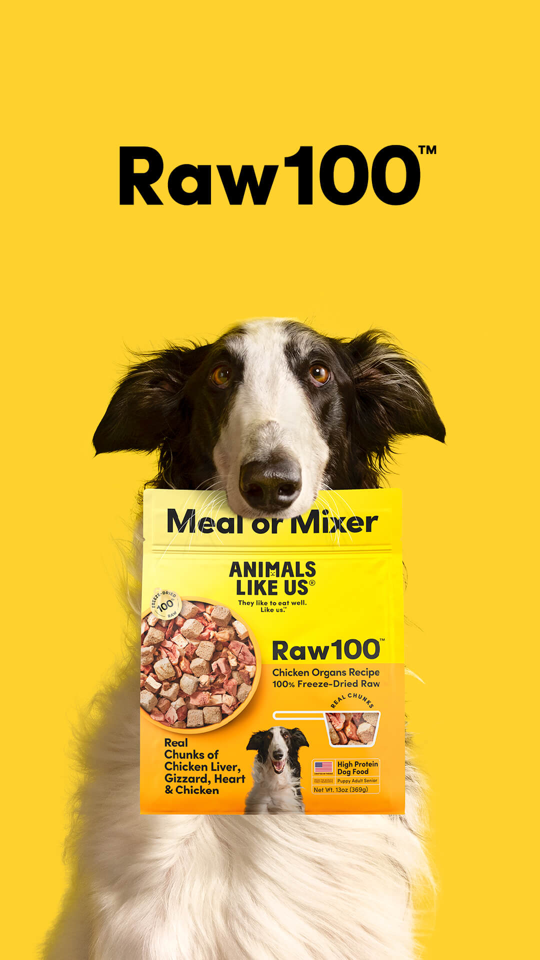 Dog holding a 'Raw100' pet food package against a yellow background
