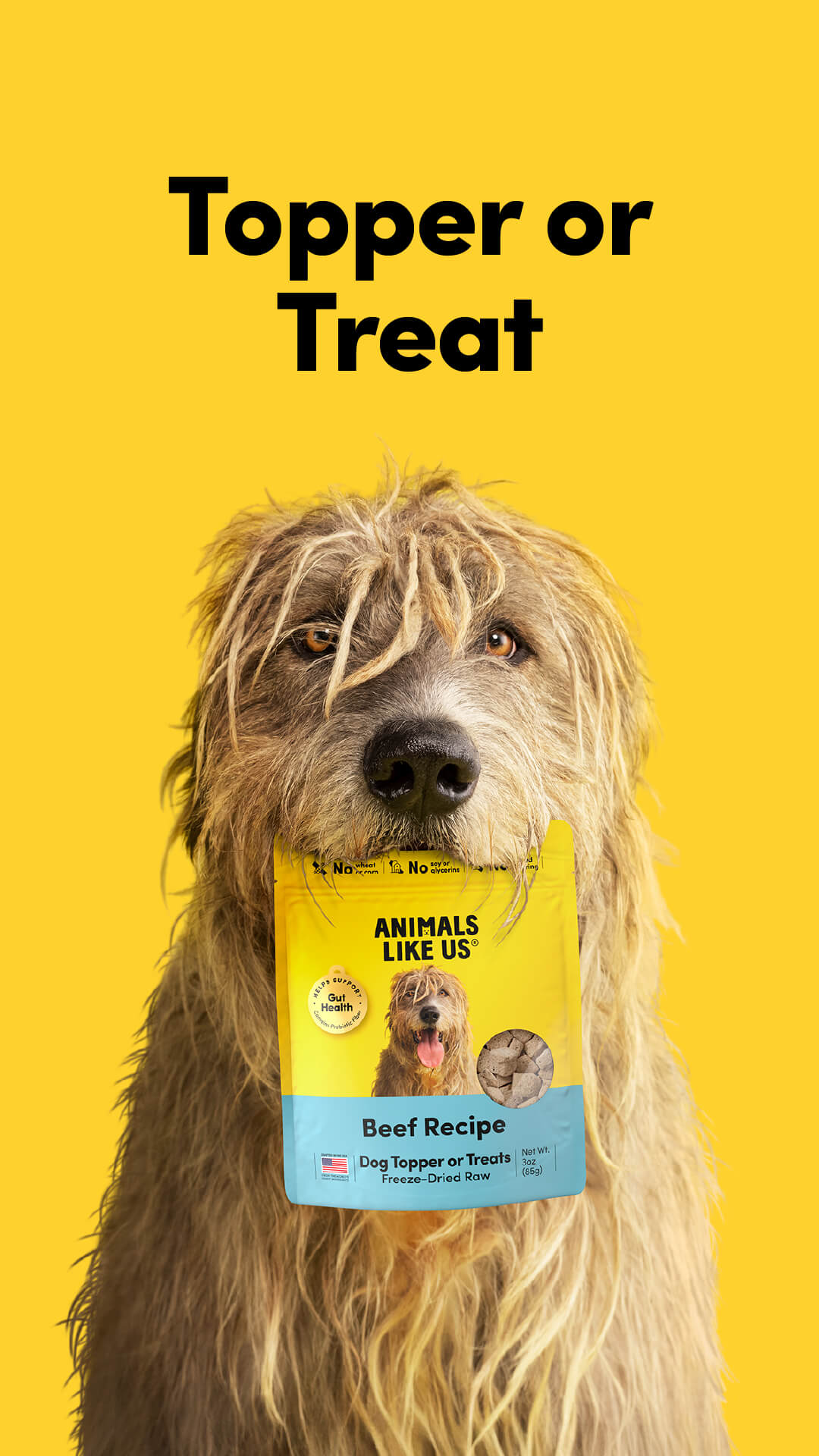Dog with a bag of 'Animals Like Us' beef recipe dog food on a yellow background