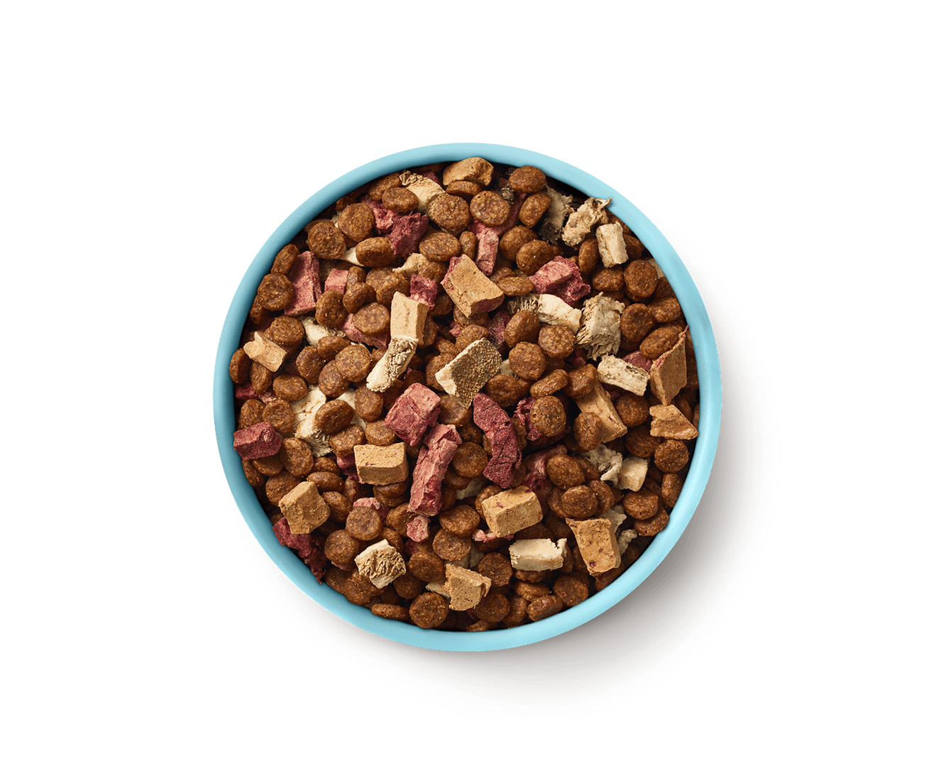 Beef dog food bowl